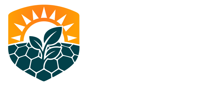GSE Energia Solar